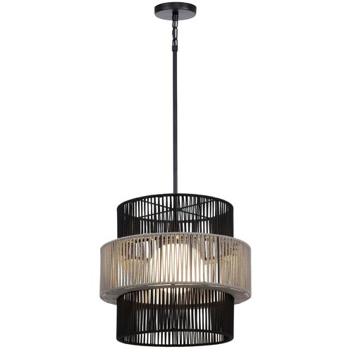 Aden 1 Light 22 inch Black Outdoor Pendant, Both Indoor/Outdoor