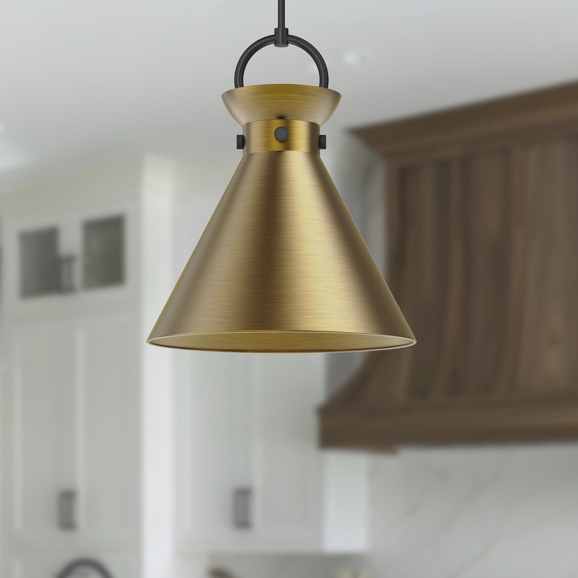 Alora Mood Emerson Pendant Ceiling Light in Matte Black and Aged Gold