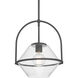 Coralyn 1 Light 13.25 inch Dark Matte Black Pendant Ceiling Light