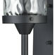 Torch 1 Light 17 inch Charcoal Black Outdoor Sconce