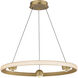 Nodes LED 24 inch Gold Ring Pendant Ceiling Light