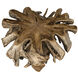 Teak Root Clear Coat Semi - Multilayered Coffee Table