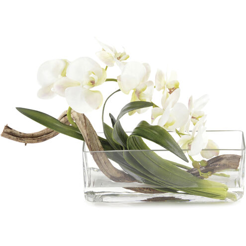 Curly Decorative Orchid