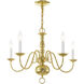 Williamsburgh 5 Light 24 inch Polished Brass Chandelier Ceiling Light