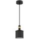 Axis 1 Light 5.5 inch Black and Brass Pendant Ceiling Light