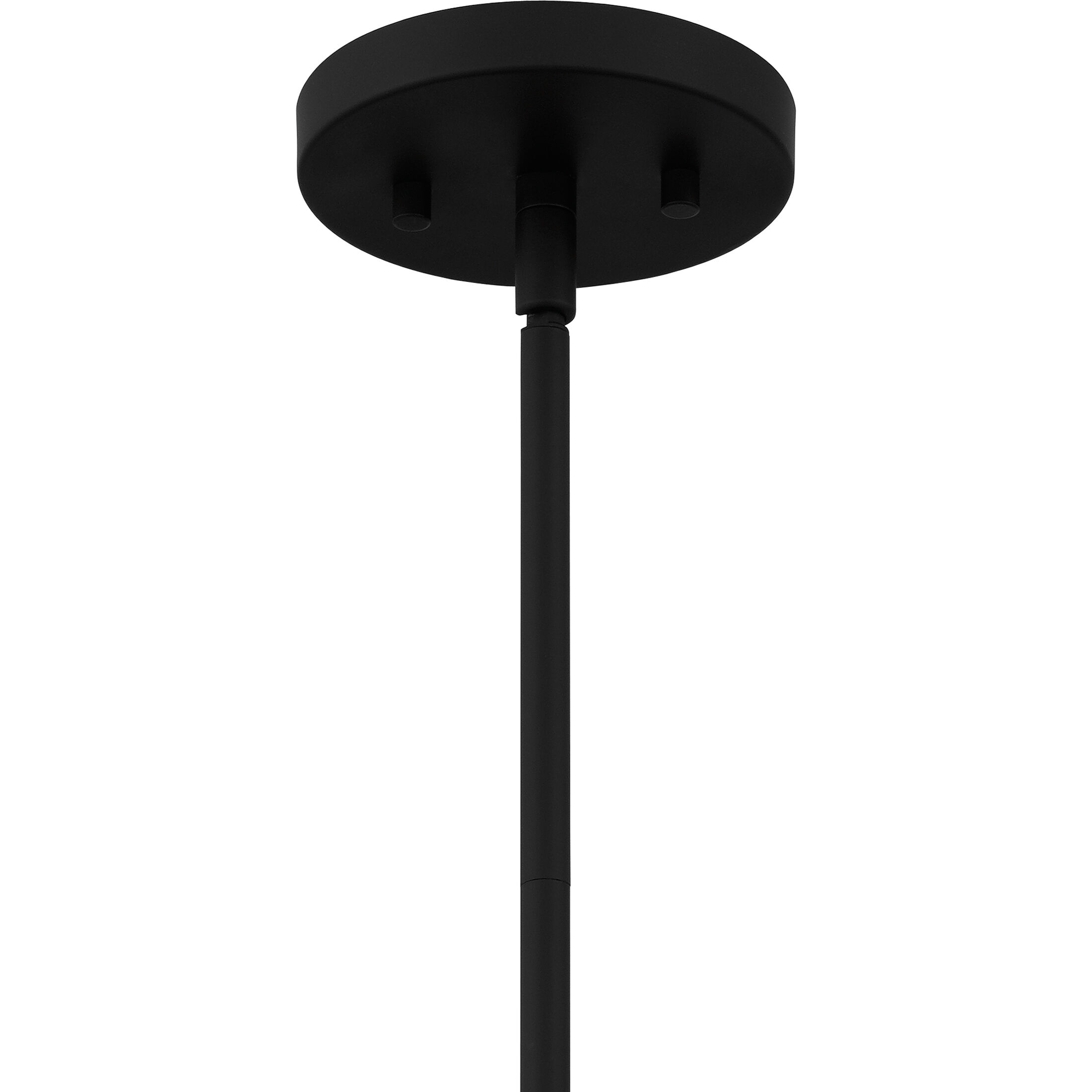 Appleton 2 Light 16 inch Matte Black Pendant Ceiling Light