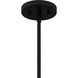 Appleton 2 Light 16 inch Matte Black Pendant Ceiling Light