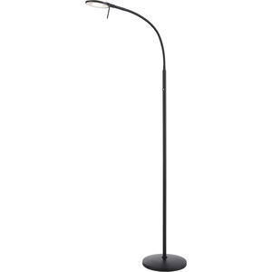 Dessau Flex 42 inch 13.00 watt Museum Black Swing Arm Floor Lamp Portable Light