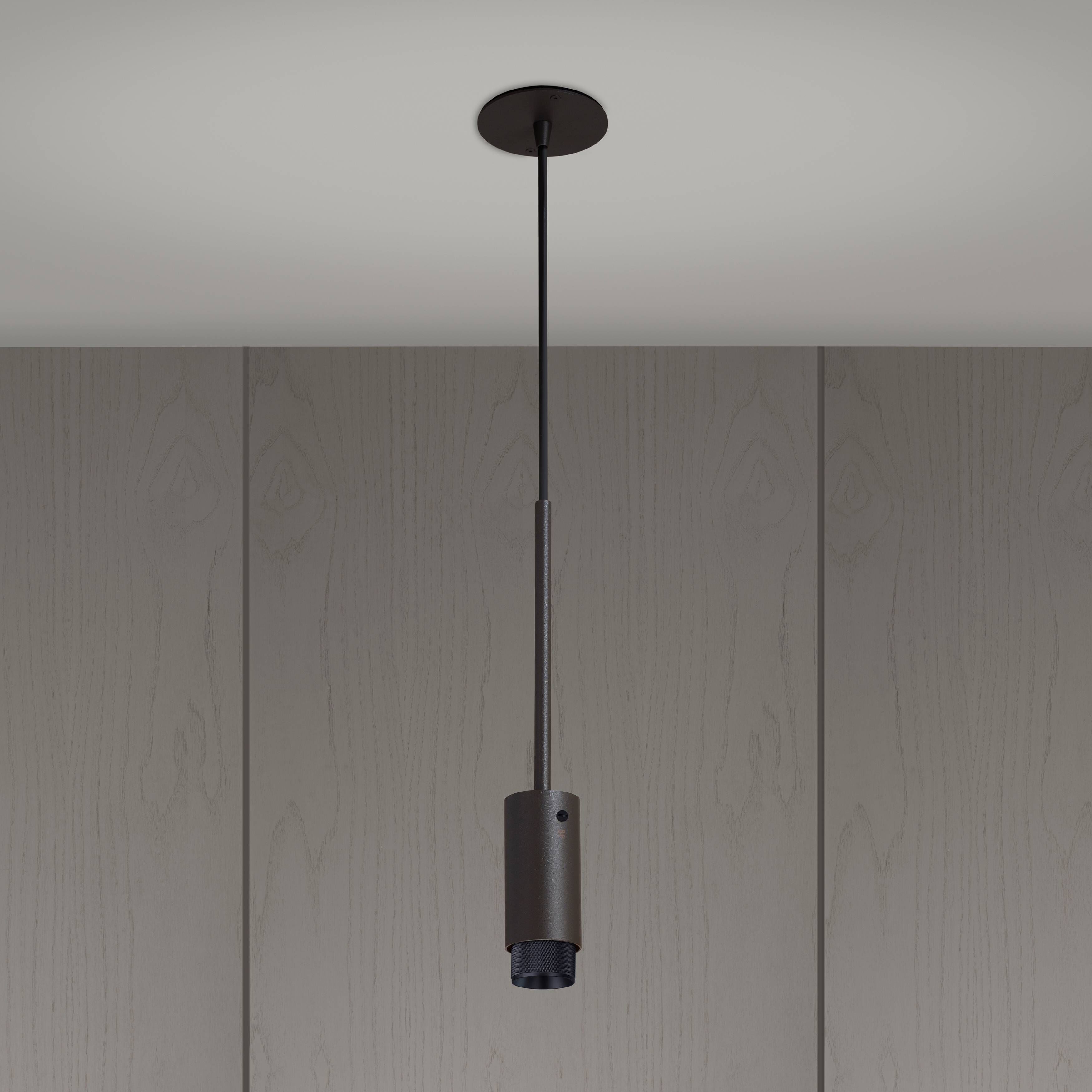 Exhaust Pendant 1 Light 110-120 Graphite / Black Spotlight Ceiling Light