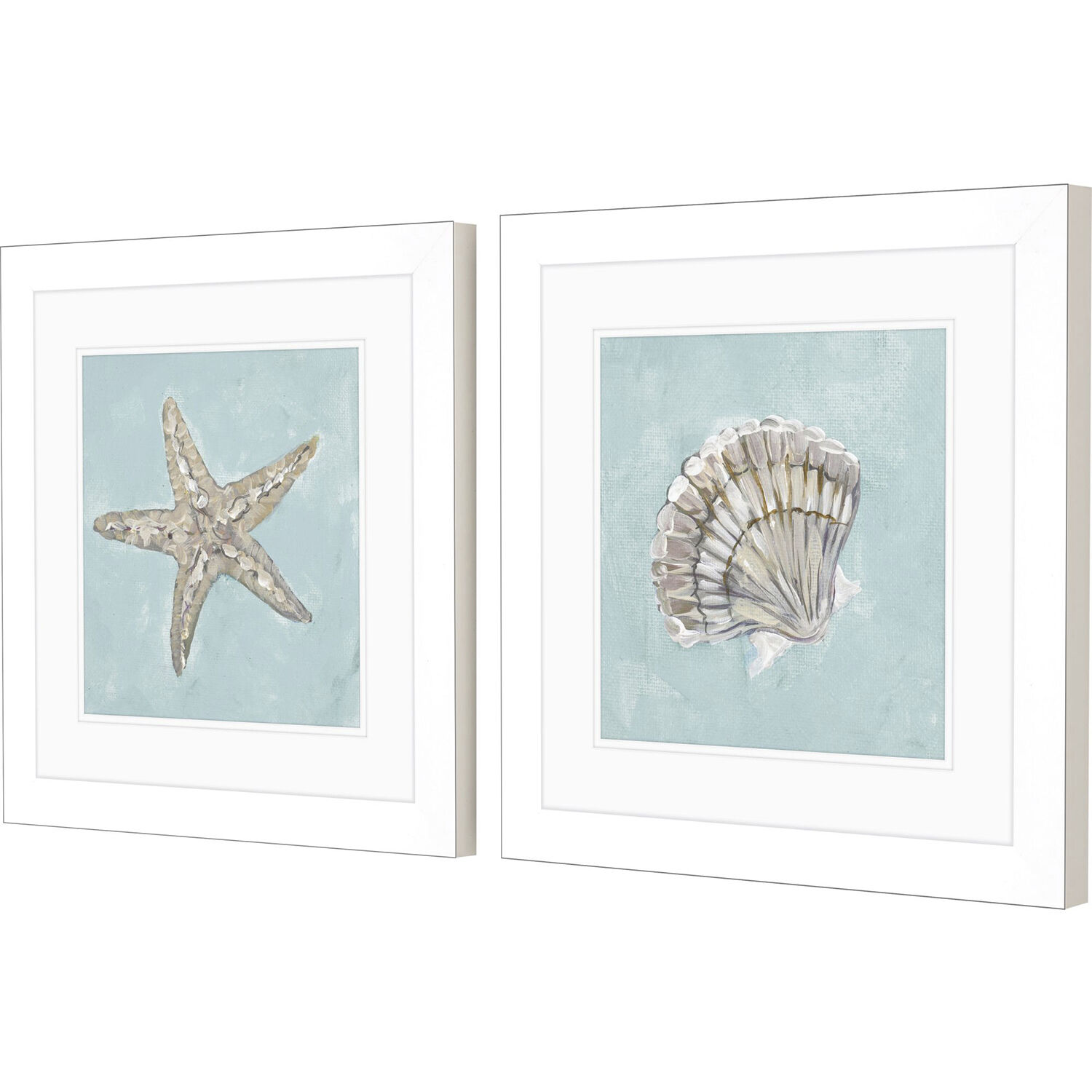 Seashell Green and Blue and Turquoise Framed Art, Propac