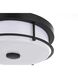 Kolson 1 Light 12 inch Black Flush Mount Ceiling Light