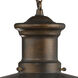 Maritime 1 Light 9 inch Hazelnut Bronze Outdoor Pendant
