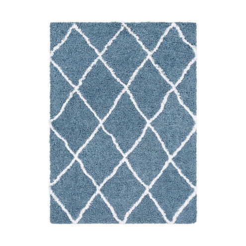 Urban Shag 35 X 24 inch Denim/White Rugs, Rectangle