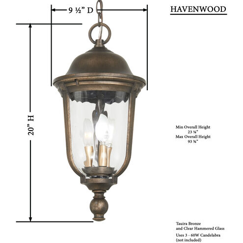 Havenwood 3 Light 10 inch Tavira Bronze And Alder Silver Outdoor Hanging Light, Great Outdoors 