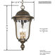 Havenwood 4 Light 12 inch Tavira Bronze And Alder Silver Outdoor Hanging Light, Great Outdoors 