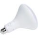 ColorQuick LED Bulb