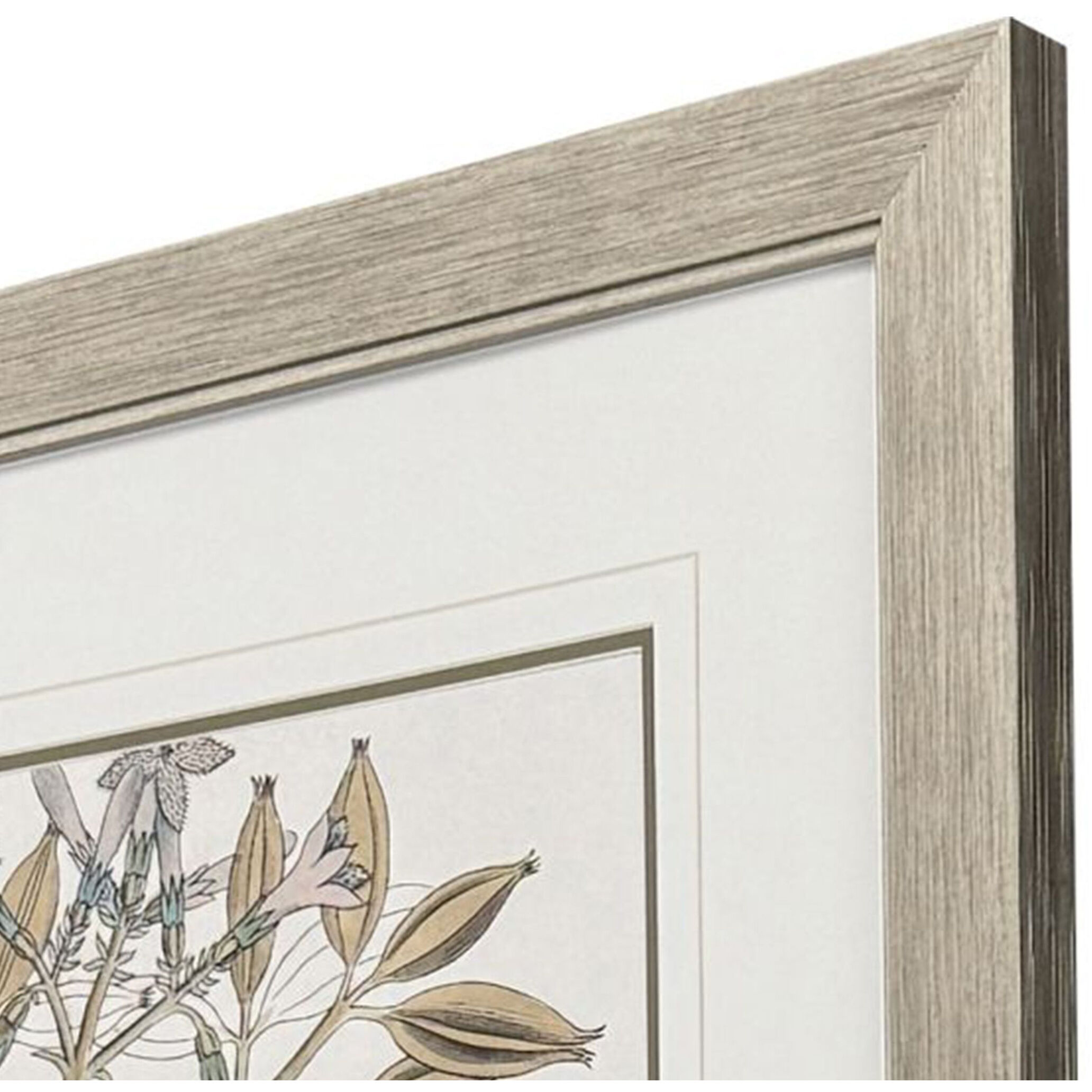 Flowering Botanical Green and Beige and Blue and Brown Framed Art