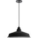 Olya LED 16 inch Matte Black Pendant Ceiling Light