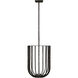 Sean Lavin Sanchi 2 Light 14 inch Aged Iron Pendant Ceiling Light
