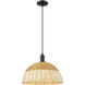 Natural Ballston Dome 1 Light 15.75 inch Matte Black Mini Pendant Ceiling Light
