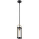 Bonita LED 5.7 inch Black and Brushed Brass Pendant Ceiling Light