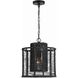 Jayna 1 Light 12.5 inch Matte Black Mini Chandelier Ceiling Light