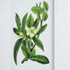 Anita Black/White Wall Art