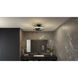 Elrod 23.75 inch Matte Black with Black Matte Blades Fandelier