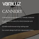 Cannery 1 Light 10 inch Ombre Galvanized Wall Sconce Wall Light