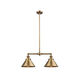 Franklin Restoration Briarcliff 2 Light 21 inch Brushed Brass Island Light Ceiling Light, Franklin Restoration
