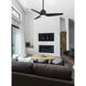 TriAire Custom Black Ceiling Fan Motors