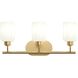 Reines 3 Light 22.75 inch Brushed Gold Bath Vanity Wall Light