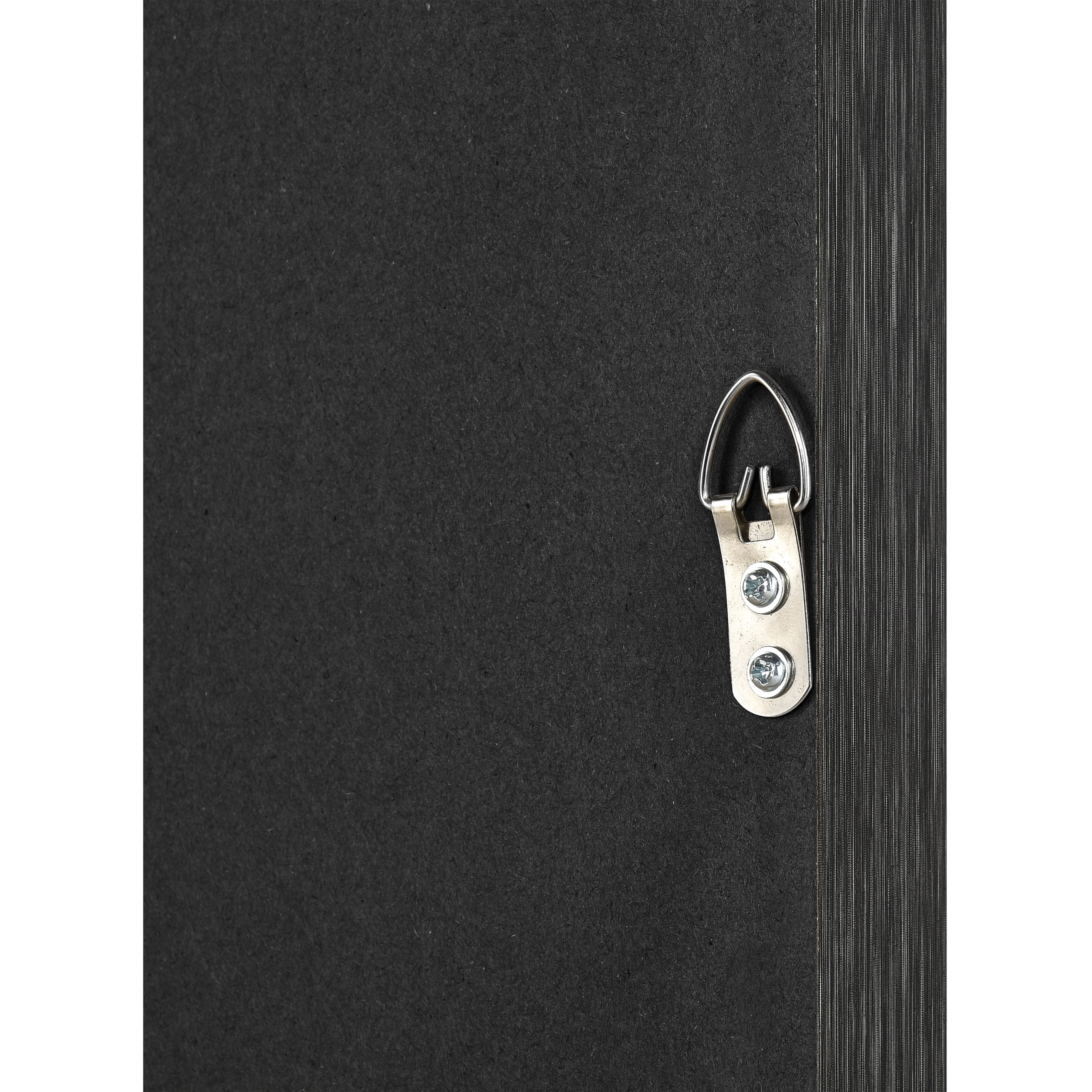 Ginkgo Botanic Ivory with Black and Clear Framed Wall Art