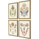 Florals Collection Multi Framed Art