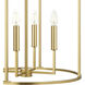 Modern 4 Light 19 inch Natural Brass Pendant Ceiling Light