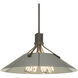 Henry 4 Light 23.1 inch Dark Smoke and Sterling Pendant Ceiling Light in Dark Smoke/Sterling