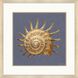 Coastal Delight / Ocean Treasure Blue and Beige and Brown Framed Art