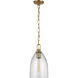 Chapman & Myers Andros LED 9 inch Antique-Burnished Brass Pendant Ceiling Light in Clear Glass, Medium