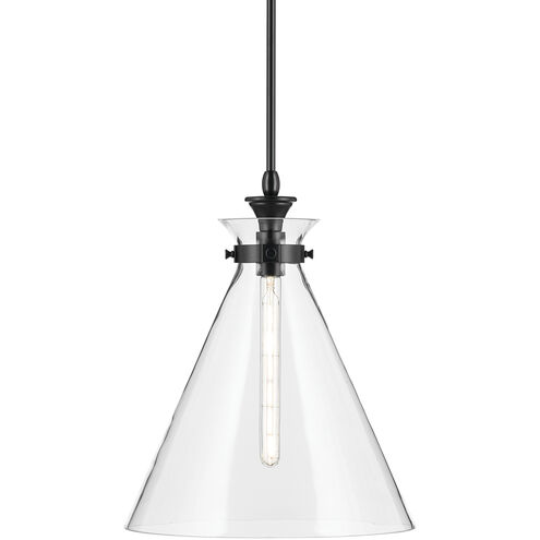 Laria 1 Light Black Pendant Ceiling Light in Clear