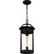 Clifton 1 Light 8.75 inch Earth Black Mini Pendant Ceiling Light, Small