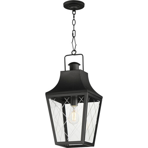 Storybook 1 Light 9.5 inch Black Outdoor Pendant
