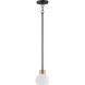 Coraline 1 Light 6 inch Bronze and Satin Brass Mini Pendant Ceiling Light in Bronze/Satin Brass