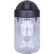 Juno 1 Light 10.25 inch Black Outdoor Wall Lantern