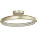 Rave LED 18 inch Titanium Silver Flush Mount Ceiling Light