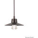 Suspense LED 10 inch Bronze Outdoor Pendant