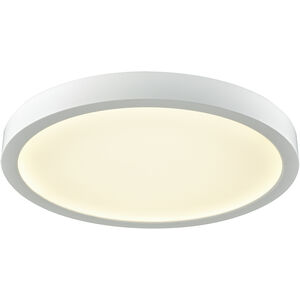 Titan LED 10 inch White Flush Mount Ceiling Light