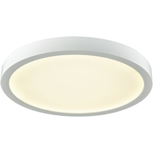 Titan LED 10 inch White Flush Mount Ceiling Light