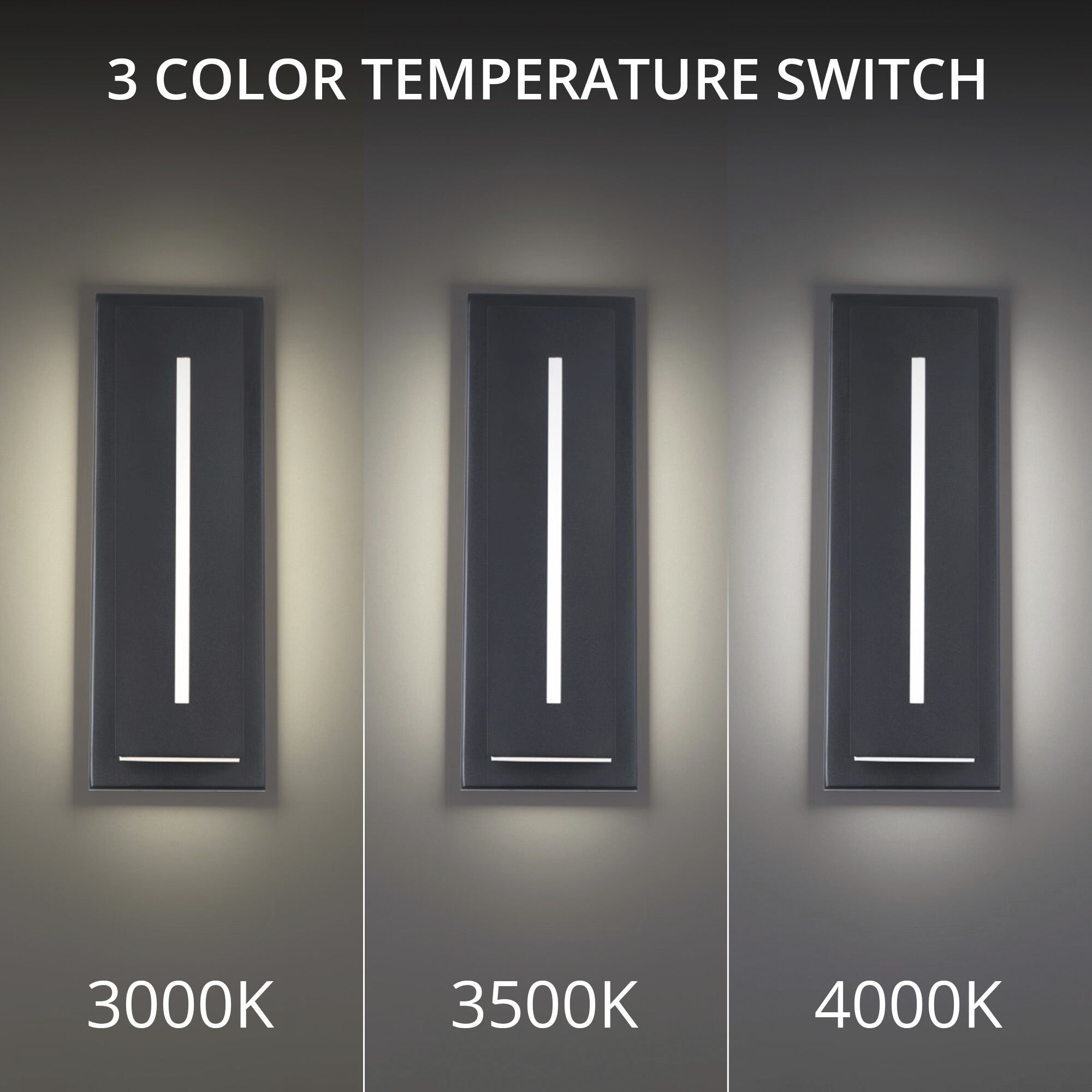 Midnight 1 Light 36 inch Black Outdoor Wall Light in 4000K