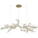 Canada 30 Light 30 inch Gold Chandelier Ceiling Light