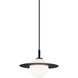 Saturn 1 Light 12.00 inch Pendant